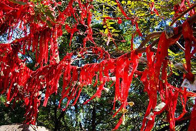 使用任天堂Switch 2的GameChat功能要通过短信验证