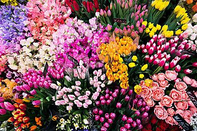 Switch会员App更新2.0.0版本 更新了整体设计