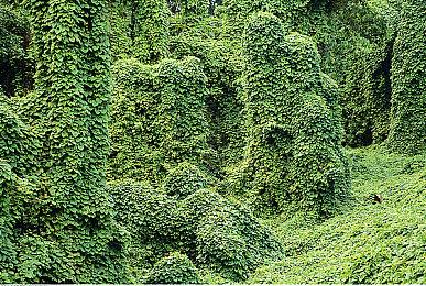 《消费者之夜》Steam页面上线 侍候超市疯狂顾客